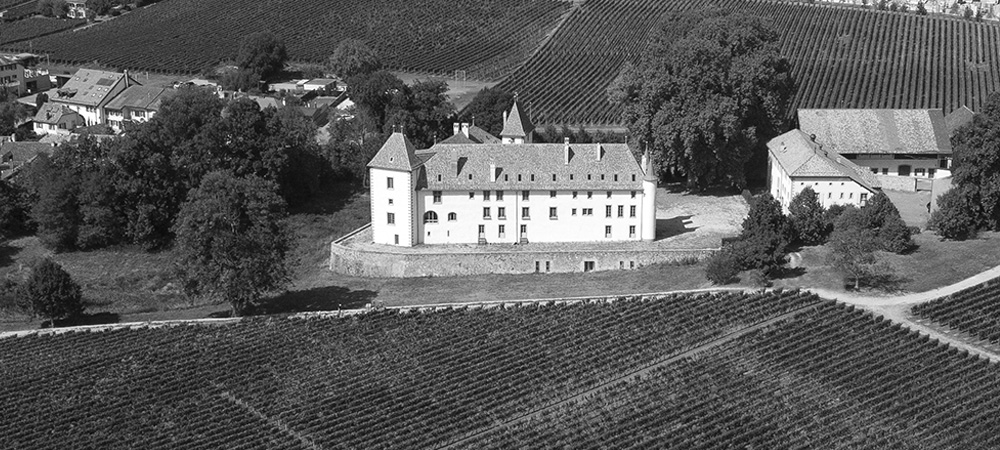 Château d'Allaman - vigneron