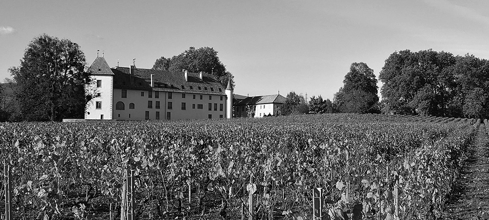 Château d'Allaman - vigneron