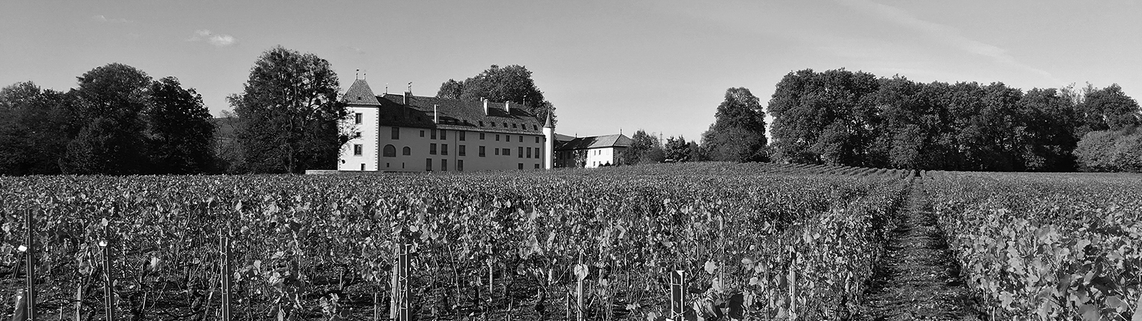 Château d'Allaman - vigneron