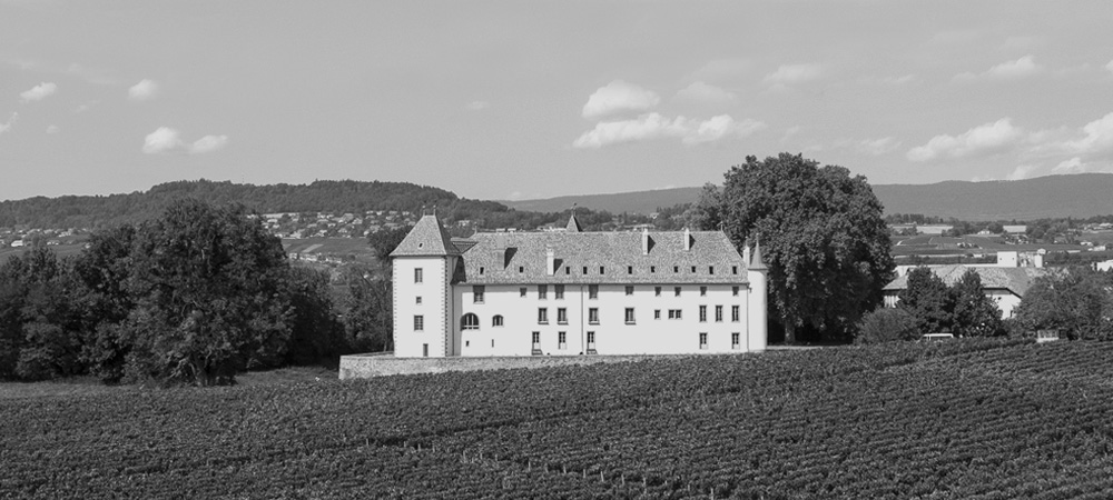 Château d'Allaman - vigneron