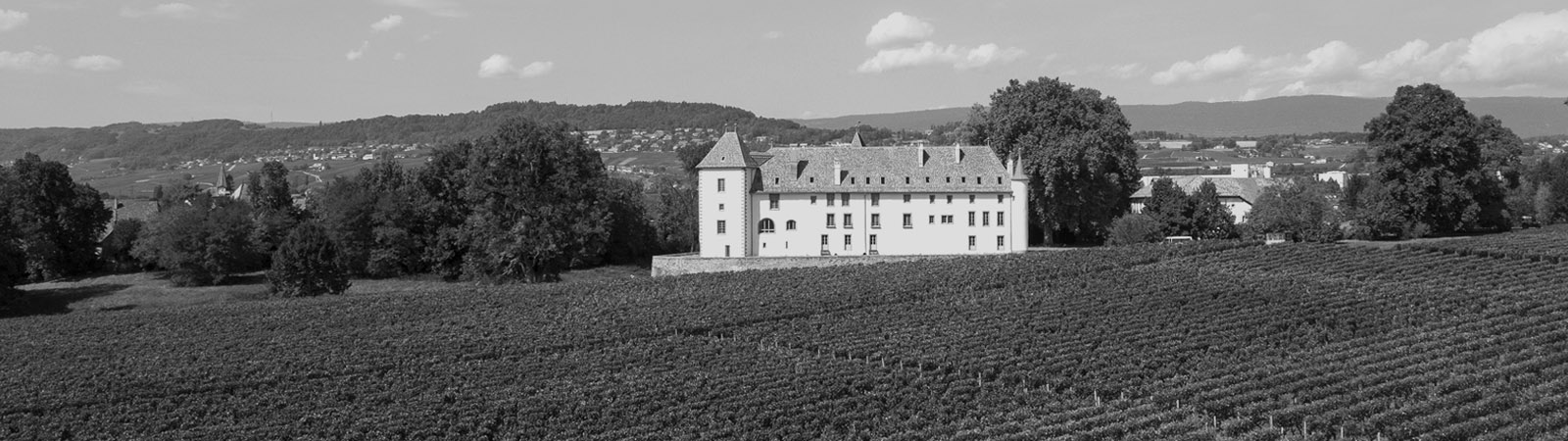 Château d'Allaman - vigneron